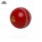 Cricket Poly Soft Ball