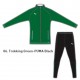 Puma Poly Tracksuit 