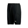 Puma Goalkeeper Shorts