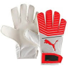 Puma Goalkeeper Gloves