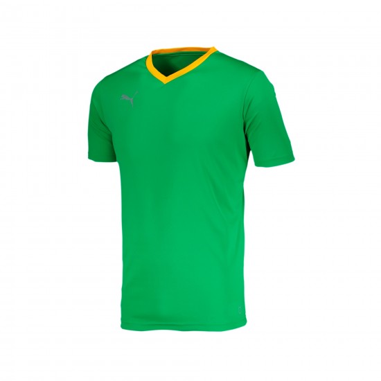 Puma Liga Kit Puma Liga Kit