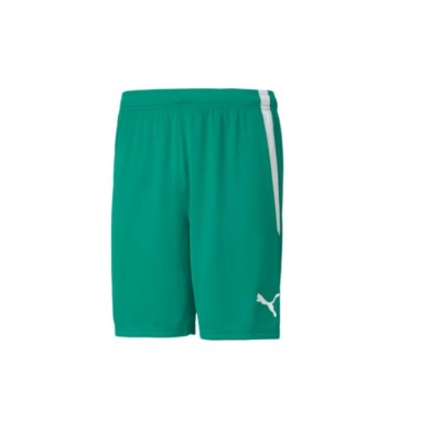 Puma teamLIGA Kit Puma teamLIGA Kit