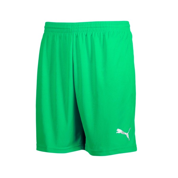 Puma Shorts Puma Shorts