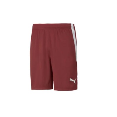 Puma teamLIGA Kit Puma teamLIGA Kit