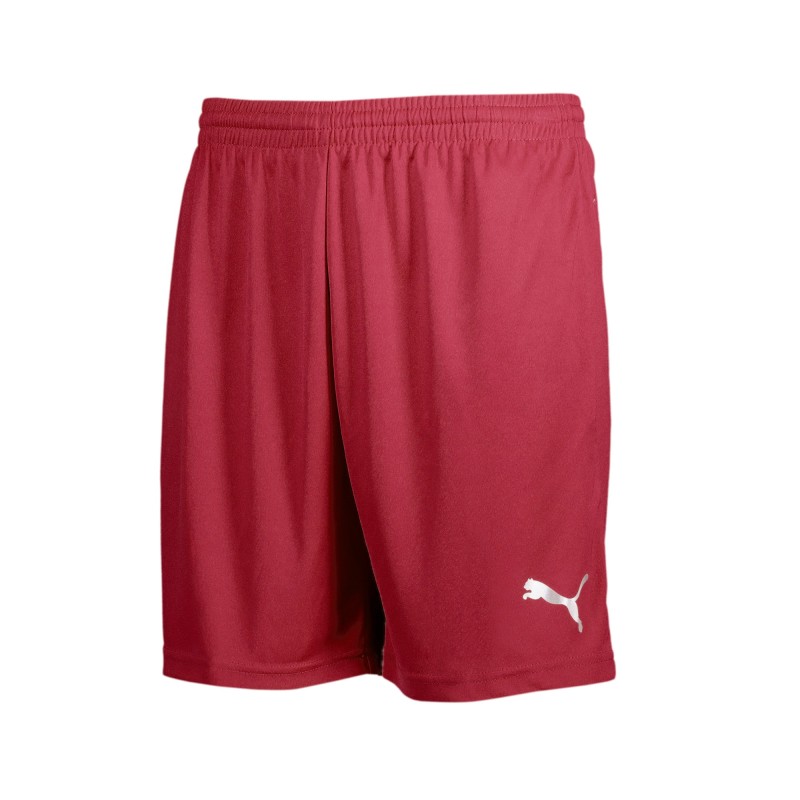 Puma Shorts Puma Shorts