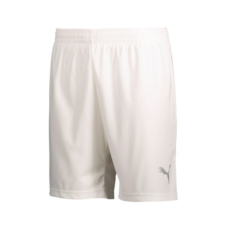 Puma Shorts Puma Shorts
