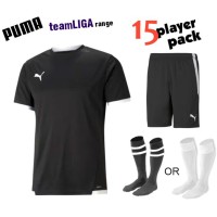 Puma teamLIGA Kit