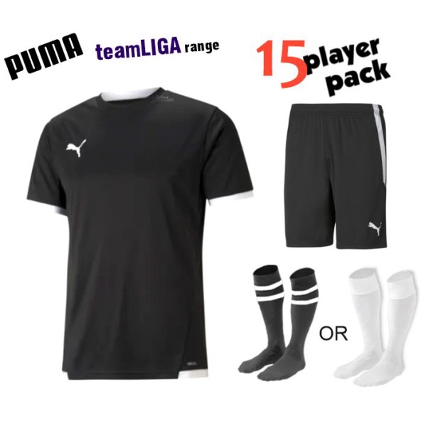 Puma teamLIGA Kit