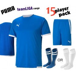 Puma teamLIGA Kit