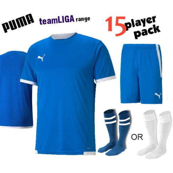Puma teamLIGA Kit