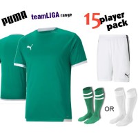 Puma teamLIGA Kit