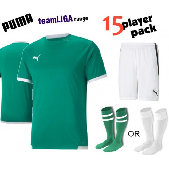 Puma teamLIGA Kit