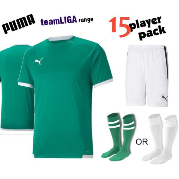 Puma teamLIGA Kit