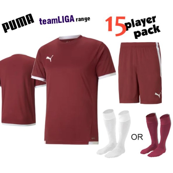 Puma teamLIGA Kit