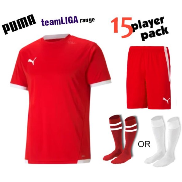 Puma teamLIGA Kit