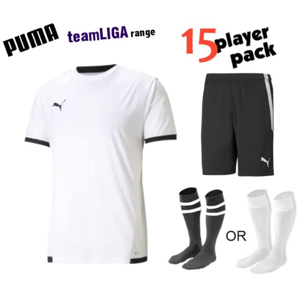 Puma teamLIGA Kit