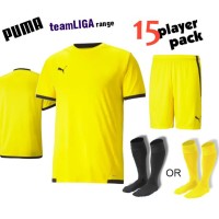 Puma teamLIGA Kit