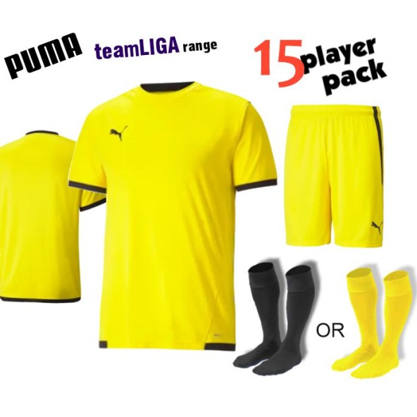 Puma teamLIGA Kit