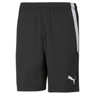 Puma teamLIGA Kit Puma teamLIGA Kit