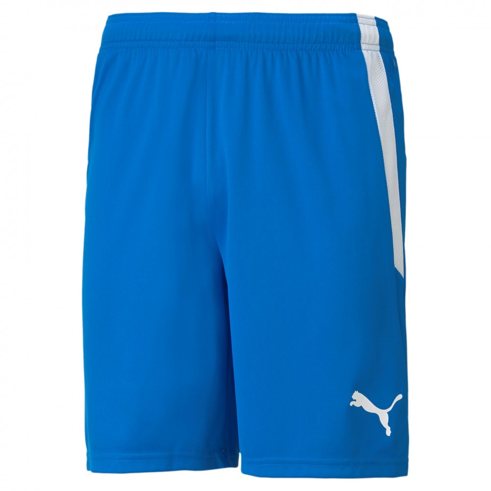 Puma teamLIGA Kit Puma teamLIGA Kit