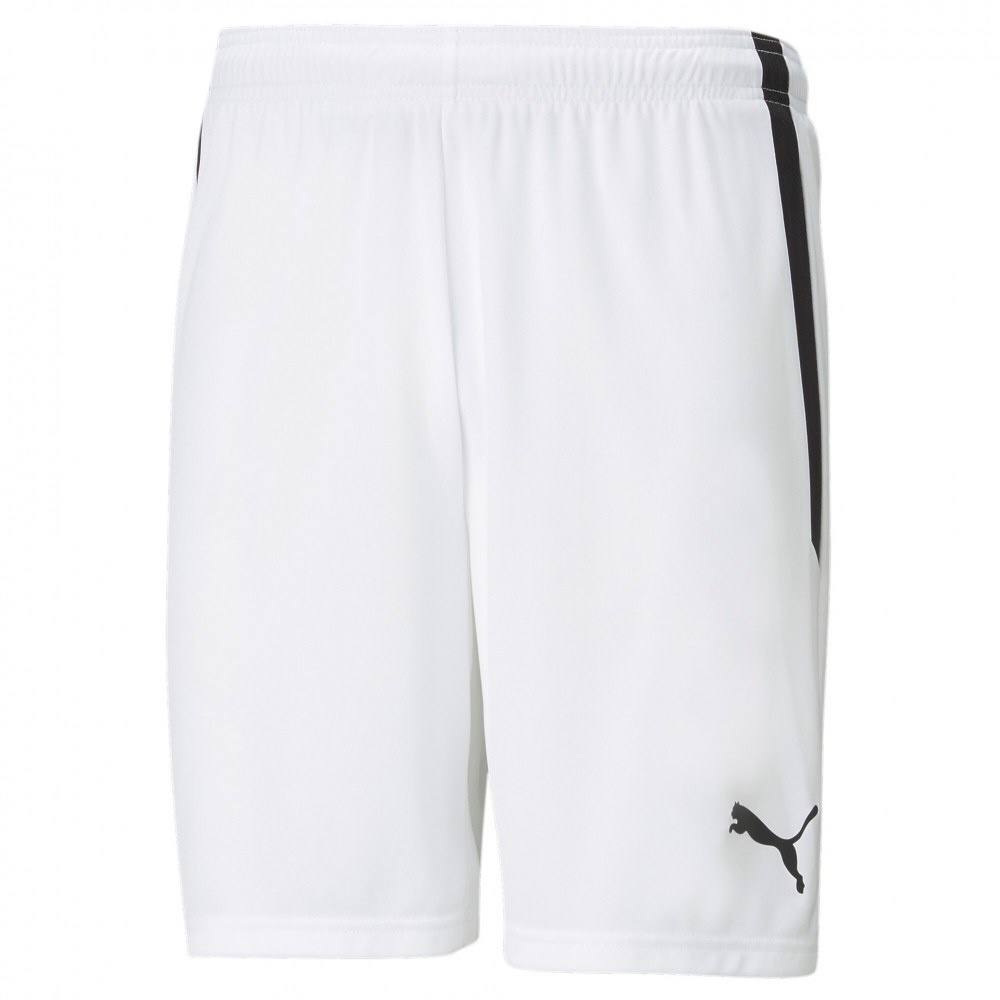 Puma teamLIGA Kit Puma teamLIGA Kit